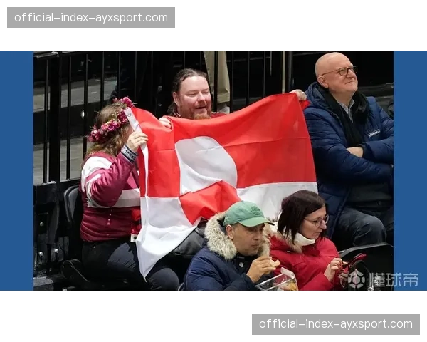 丹麦手球协会宣布，下赛季起本国联赛将强制使用可回收环保比赛用球