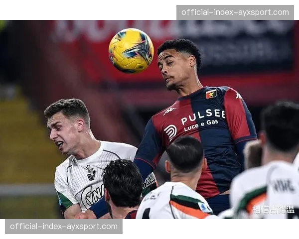 乌迪内斯vs热那亚比赛因球迷投掷烟雾弹中断15分钟