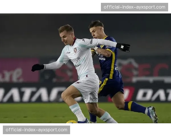 从保级区到安全区:萨勒尼塔纳换帅后抢下关键七分 从保级区到安全区:萨勒尼塔纳换帅后抢下关键七分